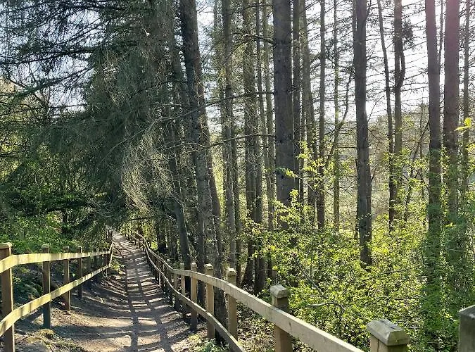 Apple Tree Hut, In A Private Garden